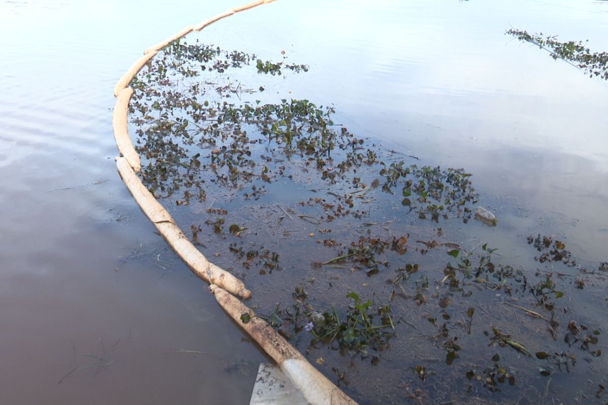 óleo na água em Chapecó