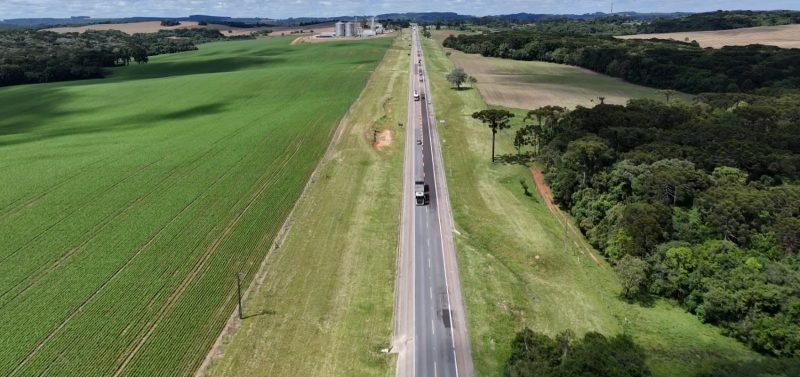 A definição dos locais ocorreu a partir de estudos que identificaram trechos com maior incidência de acidentes - Divulgação/Arteris Planalto Sul/ND Mais