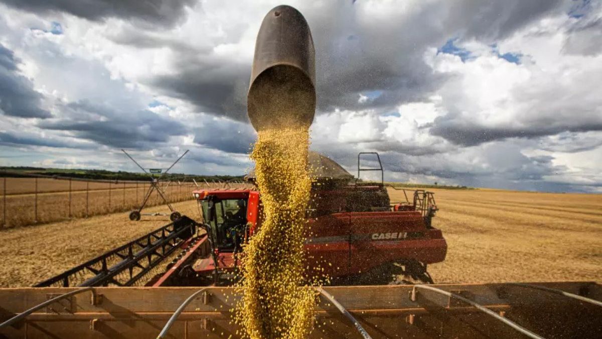 Gigante das cooperativas libera R$ 2,3 bilhões em crédito e alavanca produção recorde do agro em SC