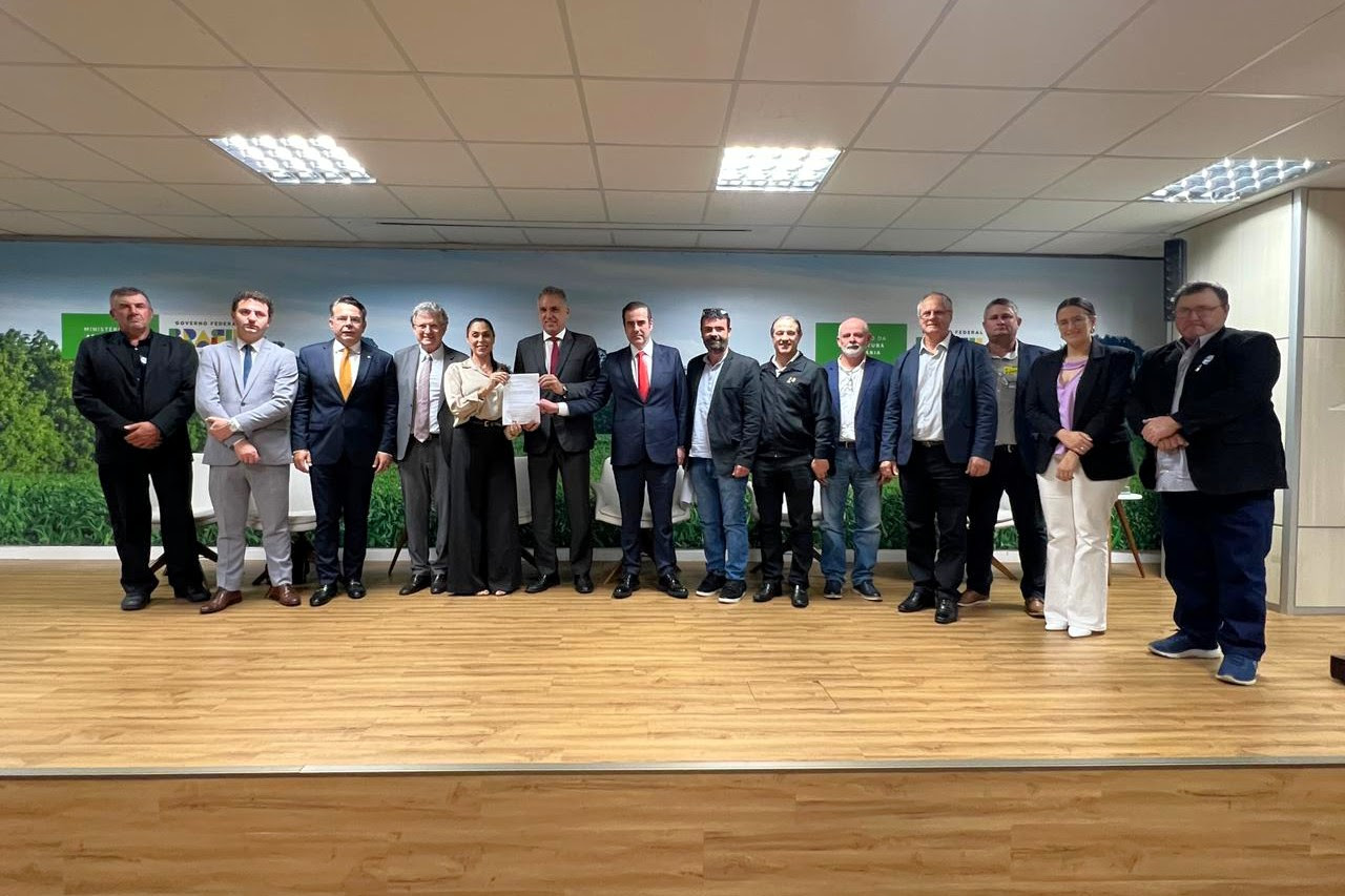 Participantes da reunião sobre crise do arroz em Brasília