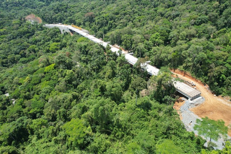 Elevado localizado entre o km 64,738 e o km 65,125, estão em andamento a instalação das vigas longarinas - Divulgação/DNIT/ND Mais