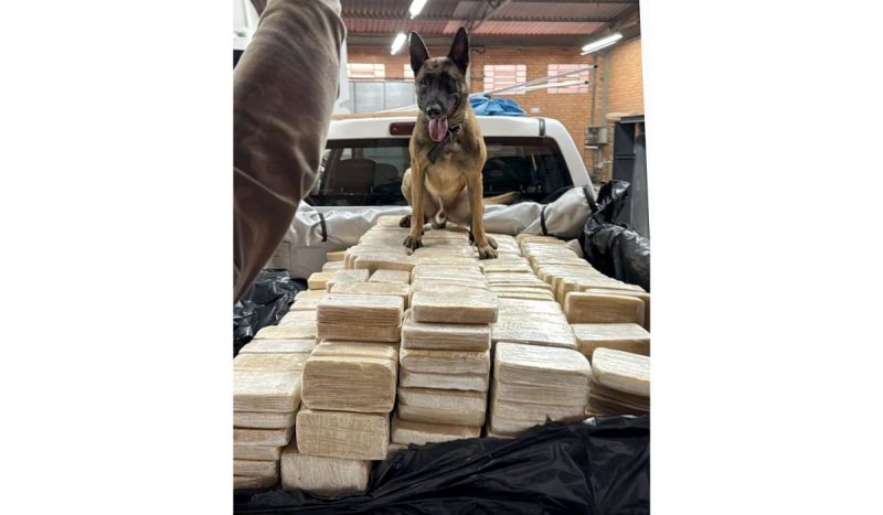 Operação descobriu rede criminosa internacional - Divulgação/PF/ND Mais