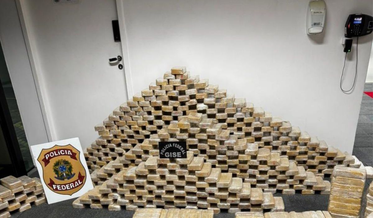 VÍDEO: Bunker com 613 kg de cocaína é achado em Blumenau e expõe rede internacional de tráfico