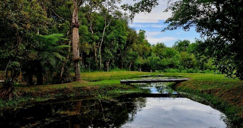 Vila da Raposa em São Bento do Sul - Vila da Raposa em São Bento do Sul 3 (2)