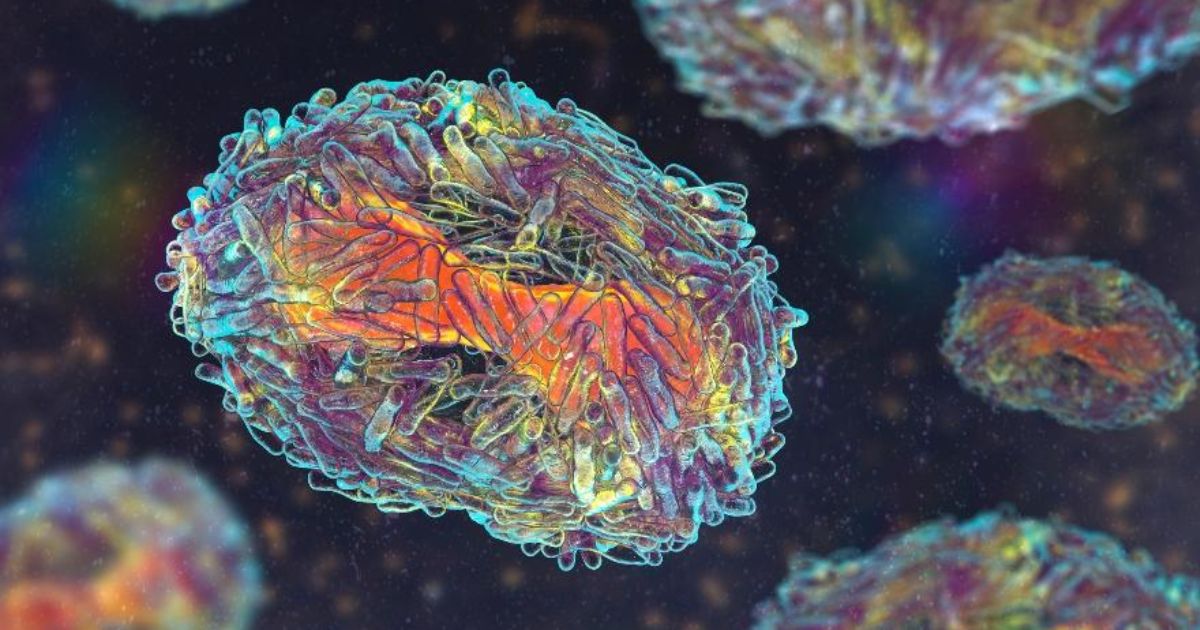 Apesar do aumento nas notificações, o país não registra mortes ou casos de internações graves relacionados à doençaFoto: Reprodução/ND Mais