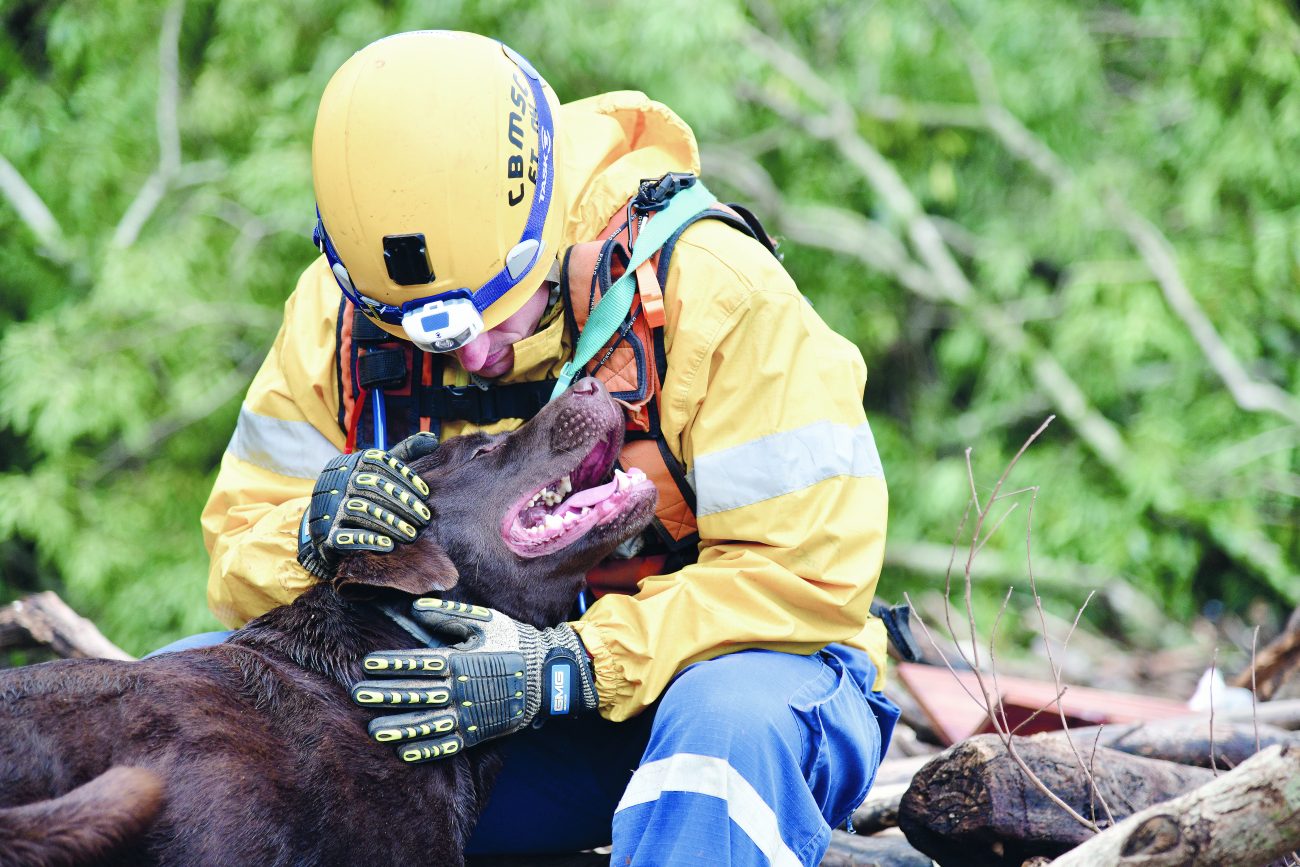 Trabalho nas grandestragédias conta com parceria com cães eformação de forças-tarefasFoto: Divulgação/CBMSC/ND