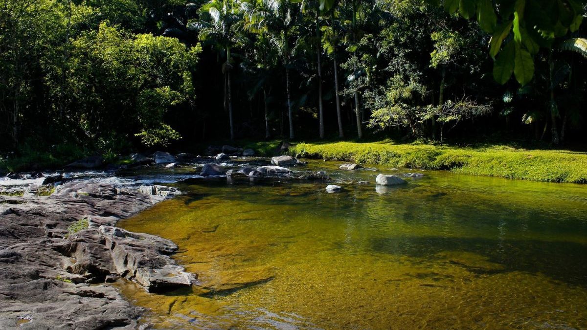 Nova Rússia: Refúgio Secreto de Blumenau com Cachoeiras