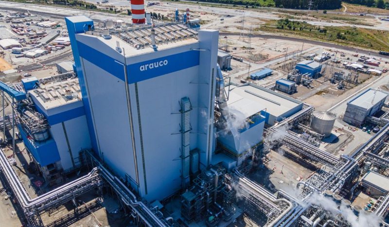 Megafábrica no Brasil terá 3,5 mil hectares e será autossuficiente em energia limpa - Divulgação/Arauco/ND