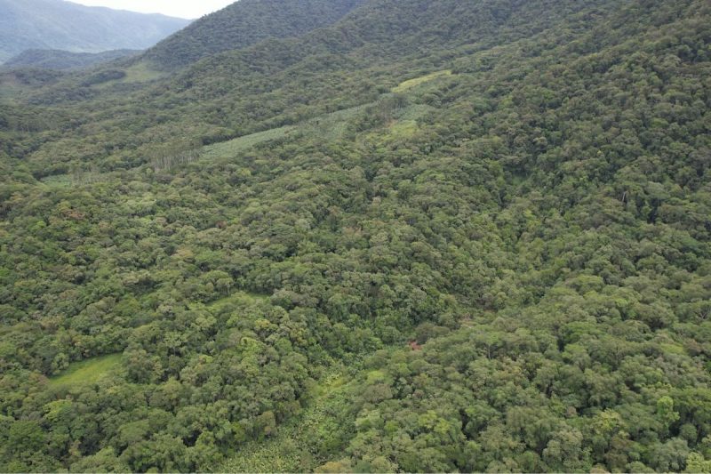 Assunto tem dividido opiniões e levantado debates, principalmente entre os agricultores que trabalham no local - Reprodução/Jonatan Klug/NDTV/ND Mais