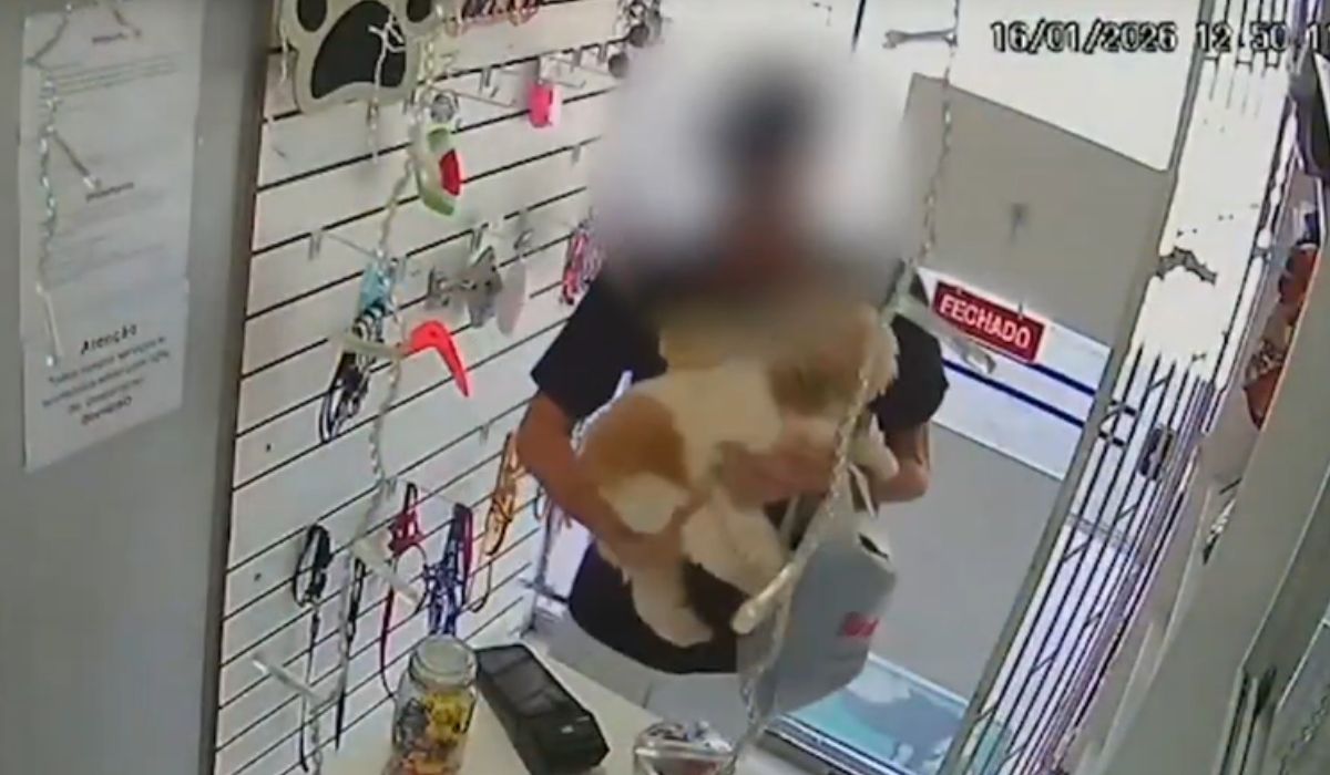 Kiko foi abandonado no dia 16 de janeiroFoto: Reprodução/NDTV