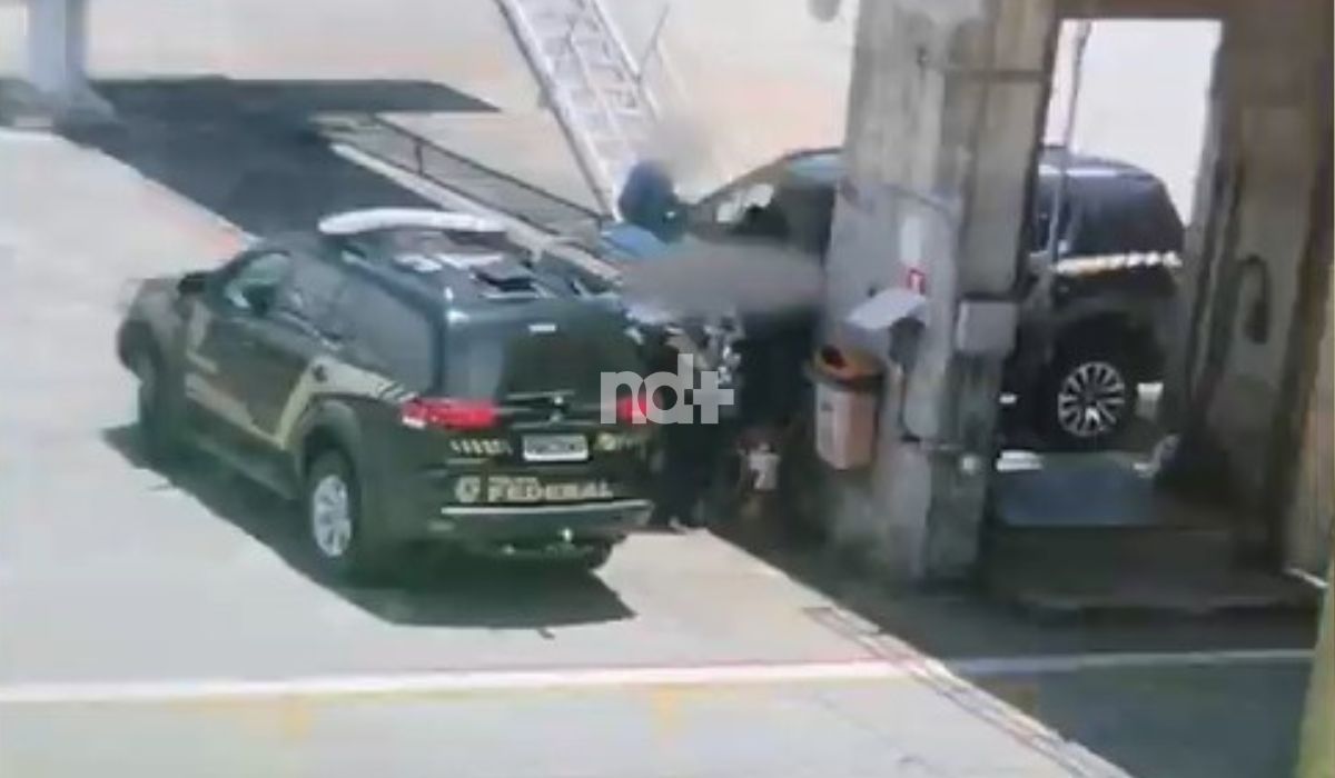 Suspeitos de agredir o cão Orelha viajaram para uma excursão na Disney logo após a morte do cão comunitárioFoto: Reprodução/NDTV RECORD