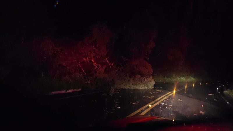 Deslizamento de encosta na SC-112 - Reprodução/PMRv