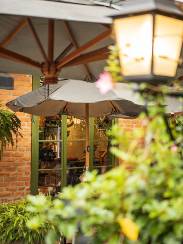 O local oferece uma experiência única e aconchegante, em um local cercado por flores - Divulgação/Empório Flores e Frutos/ND Mais