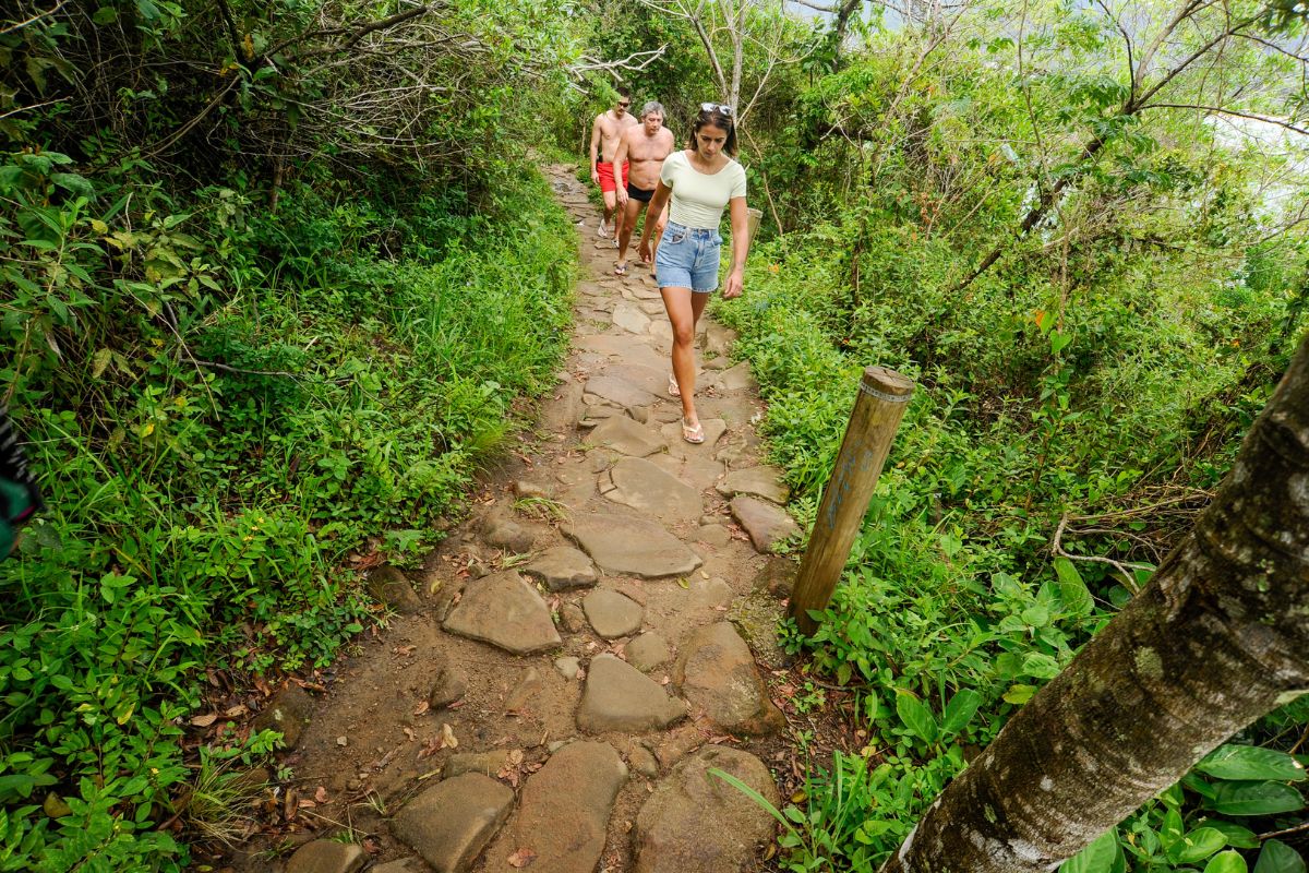 A manutenção da trilha é de responsabilidade da prefeitura de FlorianopólisFoto: Alan Pedro/ND Mais