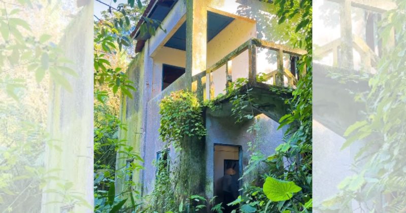 Base naval na Ilha da Rita operou entre 1940 e 1945 - Divulgação/@vigorelli_joinville/ND Mais