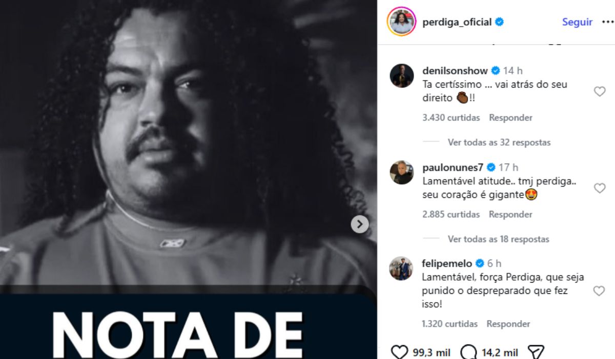 Felipe Melo prestou apoio a Perdigão no Instagram.