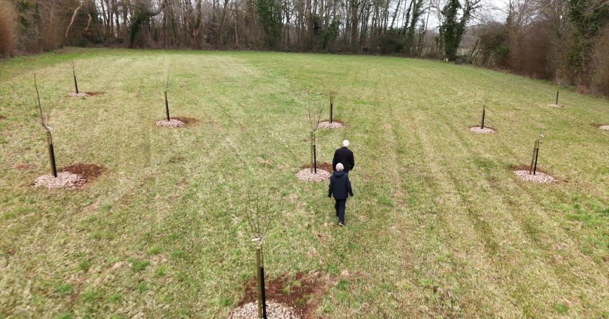 Município investiu 10 mil euros no pomar comunitário