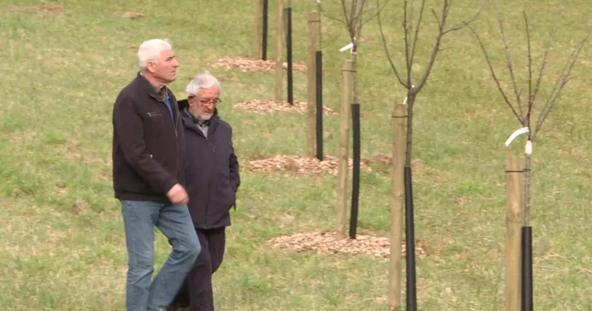 Toda a comunidade ajudou a plantar mudas no pomar comunitário