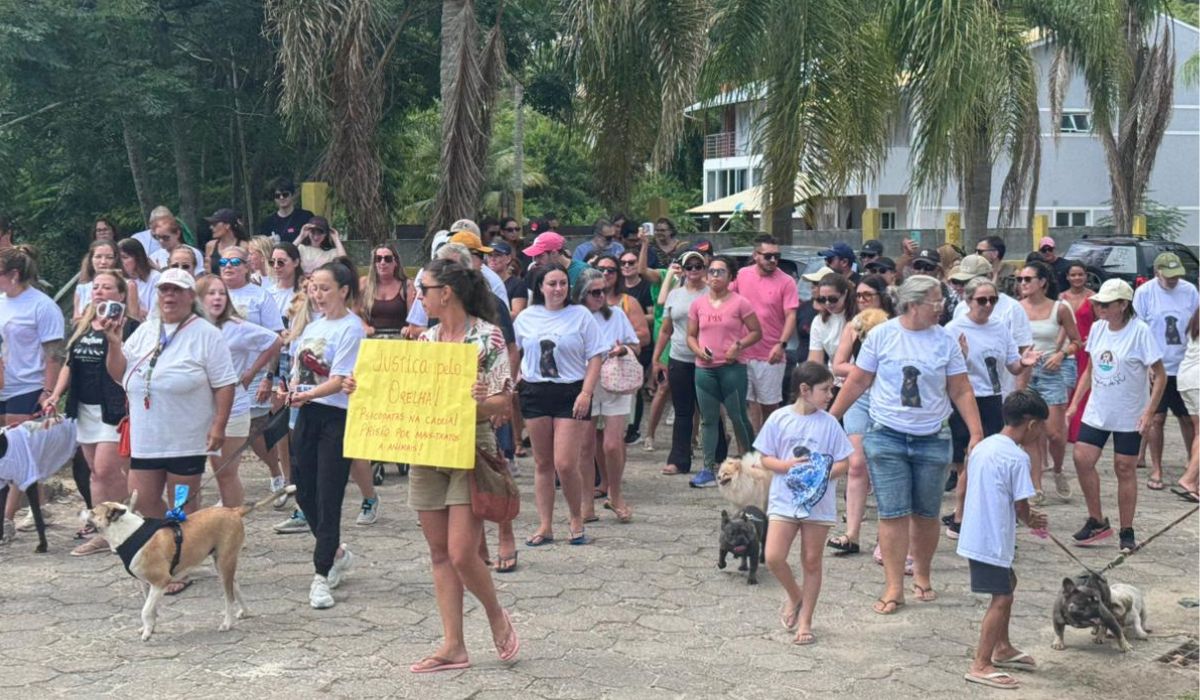 Morte de cão comunitário Orelha motiva protesto na Praia Brava, em Florianópolis, neste sábado (24)