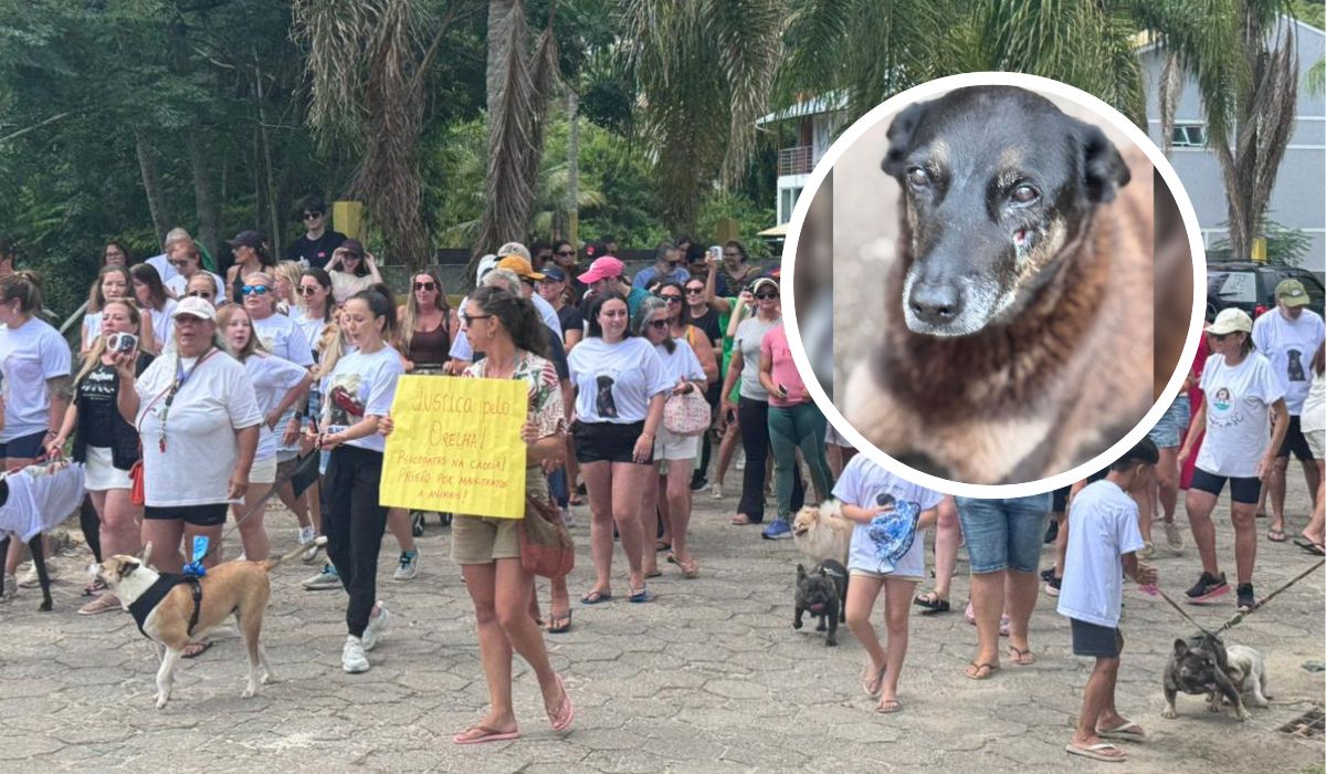 Morte de cão comunitário Orelha motivou protesto na Praia Brava, em Florianópolis, no sábado (24)