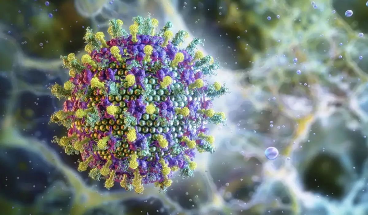 Saúde reforça que vírus Nipah não representa ameaça ao BrasilFoto: Ruslanas Baranauskas/Divulgação/ND Mais