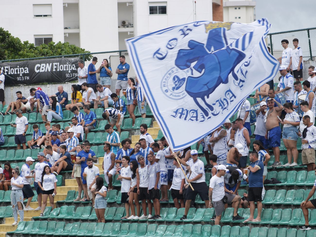 Torcedores do Avaí marcaram presença no Scarpelli neste sábadoFoto: Rodrigo Polidoro/ND