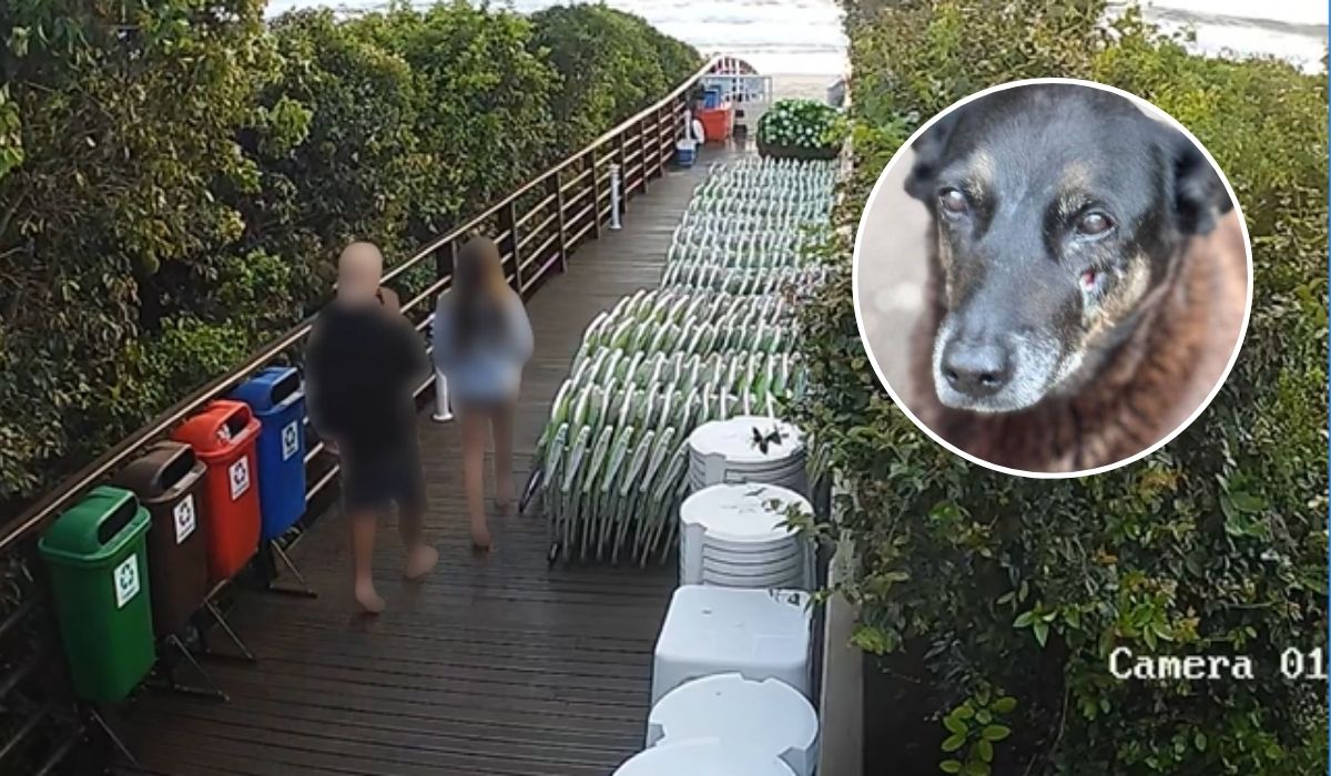 Mãe de jovem acusado por agressões contra cão Orelha fala pela primeira vez, em entrevista exclusiva ao Domingo Espetacular, da RECORD