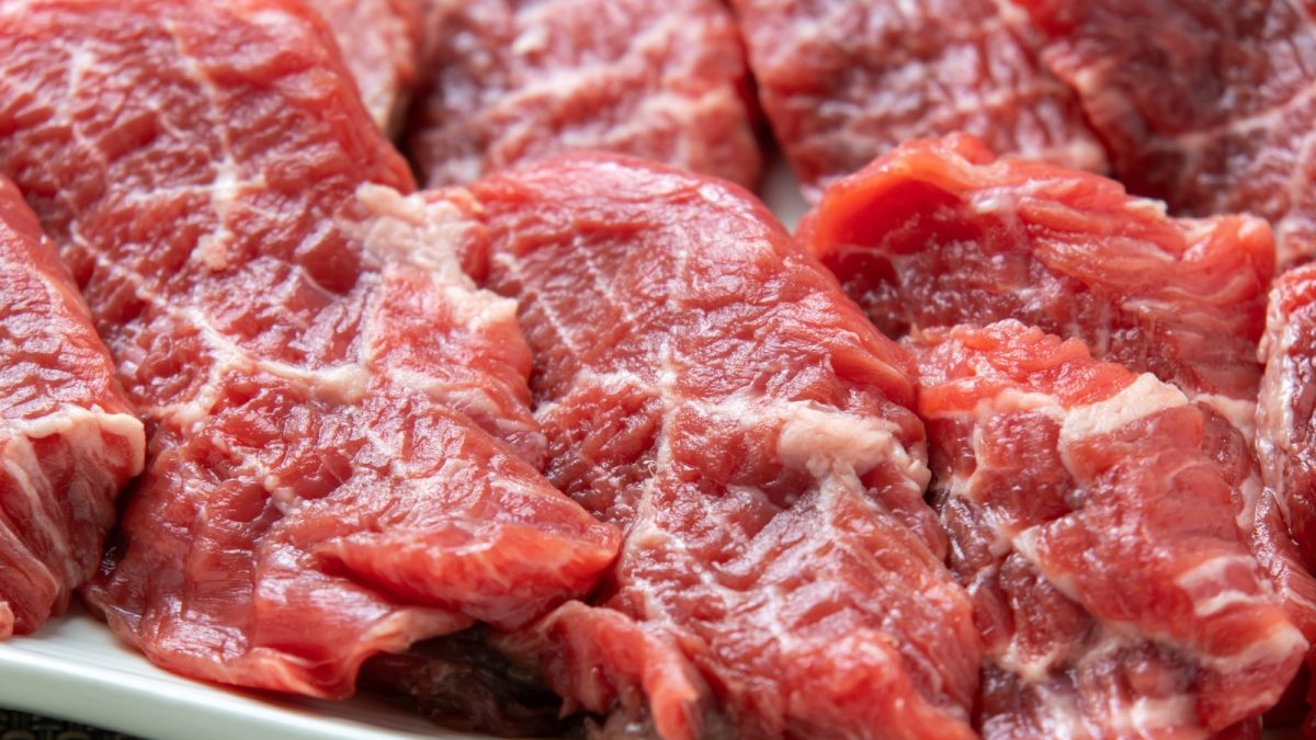 Argentina pode, Brasil não: Europa deleta país da lista de exportadores de carne e animais