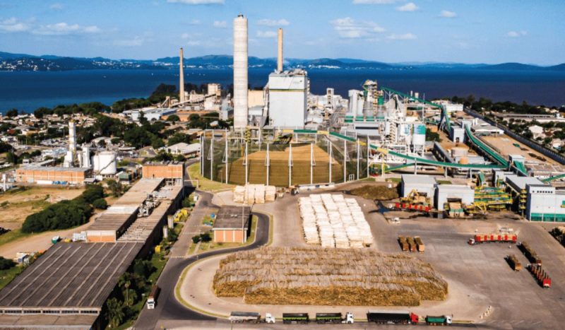 Comunidades indígenas que seriam afetadas pela megafábrica de R$ 27 bilhões não foram devidamente consultadas, diz MPF - Divulgação/CMPC/ND Mais