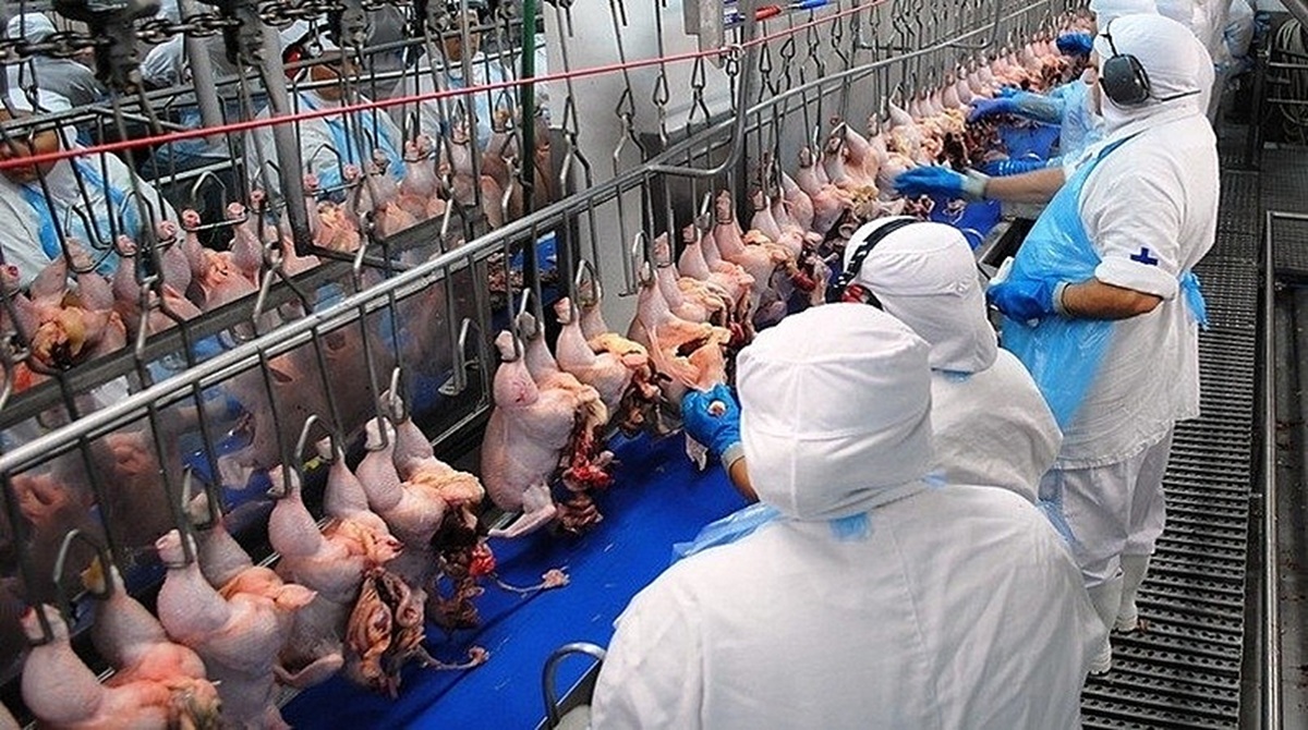 trabalhadores da jbs operando