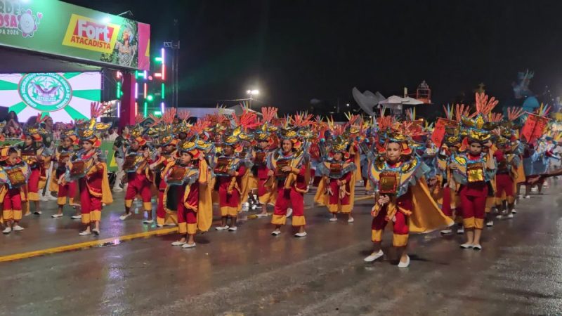 FRAME - Princesa e ala das crianças abrilhantam a noite no desfile da Jardim das Palmeiras - Leandra da Luz/ND Mais
