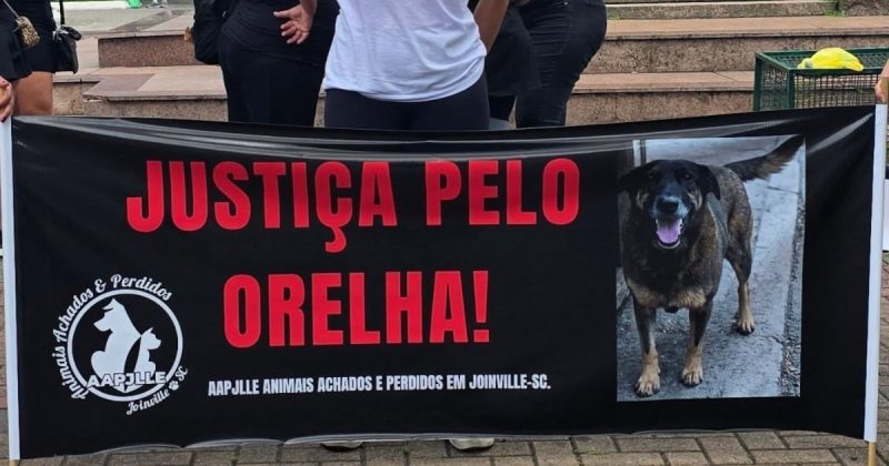 Protesto em Joinville cobrou punições mais rigorosas contra maus-tratos a animais - Divulgação/Redes sociais/ND Mais
