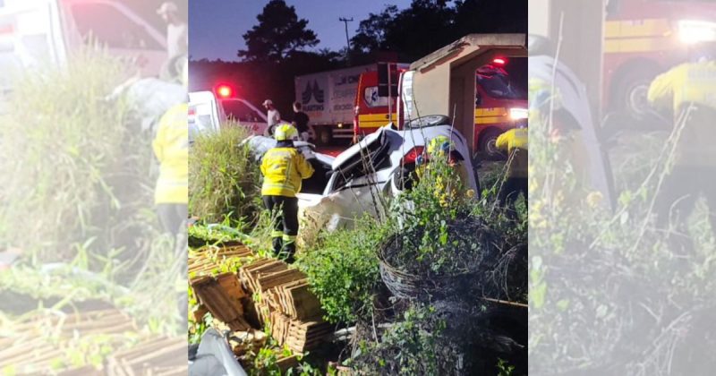 A morte da jovem gerou comoção entre amigos e colegas de trabalho - Divulgação/Redes sociais/ND Mais