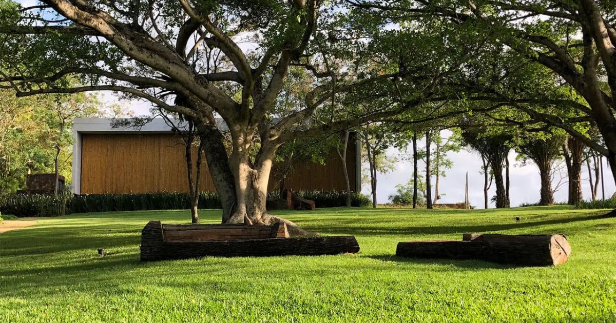 Ideia inicial era criar um espaço que proporcionasse bem-estar e valorizasse a relação com a paisagemFoto: Espírito Santo Arquitetos Associados/Divulgação/ND Mais