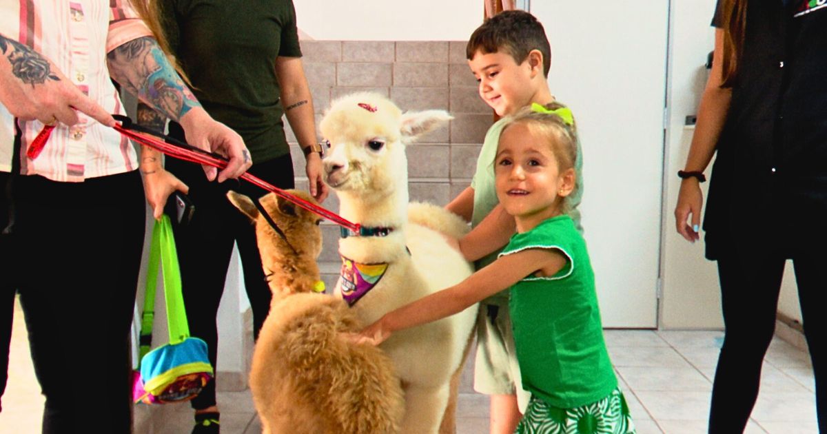 Judith e Ted participam de atividades e interagem com crianças durante períodos de adaptação escolarFoto: Divulgação/ND Mais