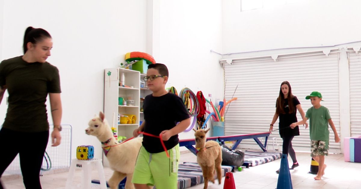 Objetivo é utilizar o contato com os animais para ajudar no desenvolvimento emocional e social dos alunosFoto: Divulgação/ND Mais