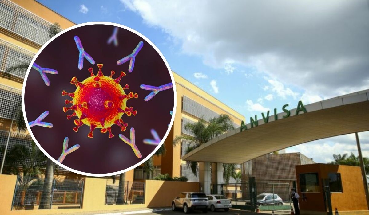 A suspensão deste ano determinada pela Anvisa ocorreu após uma inspeção conjunta realizada na unidade da Química Amparo, fabricante da Ypê, no interior de São Paulo