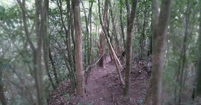 Trilha dá acesso ao topo da cachoeira - Reprodução/ND Mais