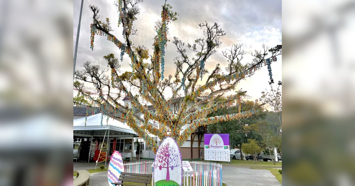 Tradição e cultura transformam árvore de Páscoa em SC na terceira maior do  mundo