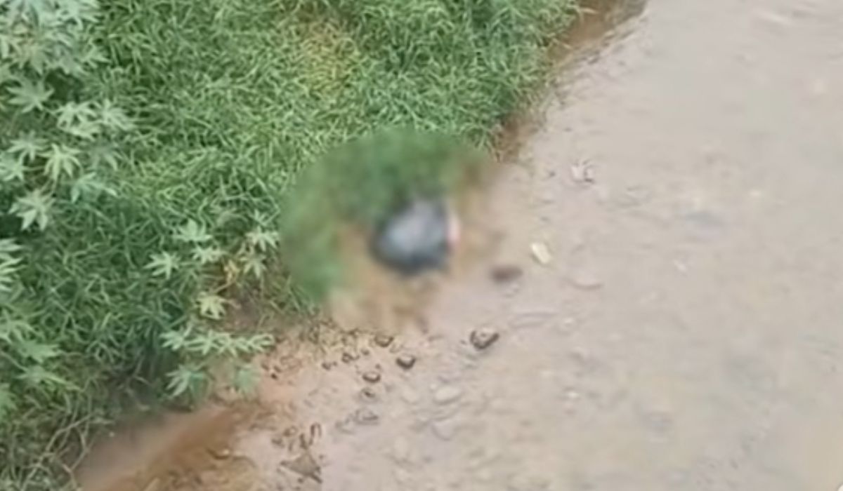 Corpo encontrado em Major Gercino é de corretora desaparecida, e estava sem cabeça, braços e pésFoto: Reprodução/NDTV