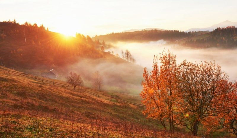 Primeiro frio do outono já tem data para atingir o Brasil com temperaturas de 10°C; veja em quais estados revistapazes.com - Primeiro frio do outono já tem data para atingir o Brasil com temperaturas de 10°C; veja em quais estados