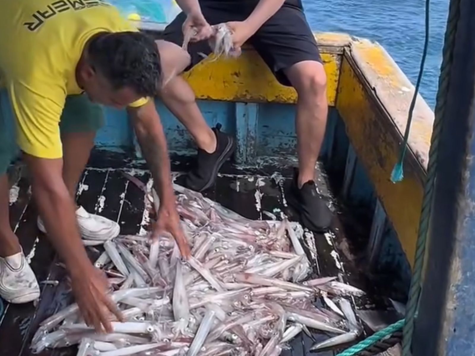 Imagem da notícia - ND Mais