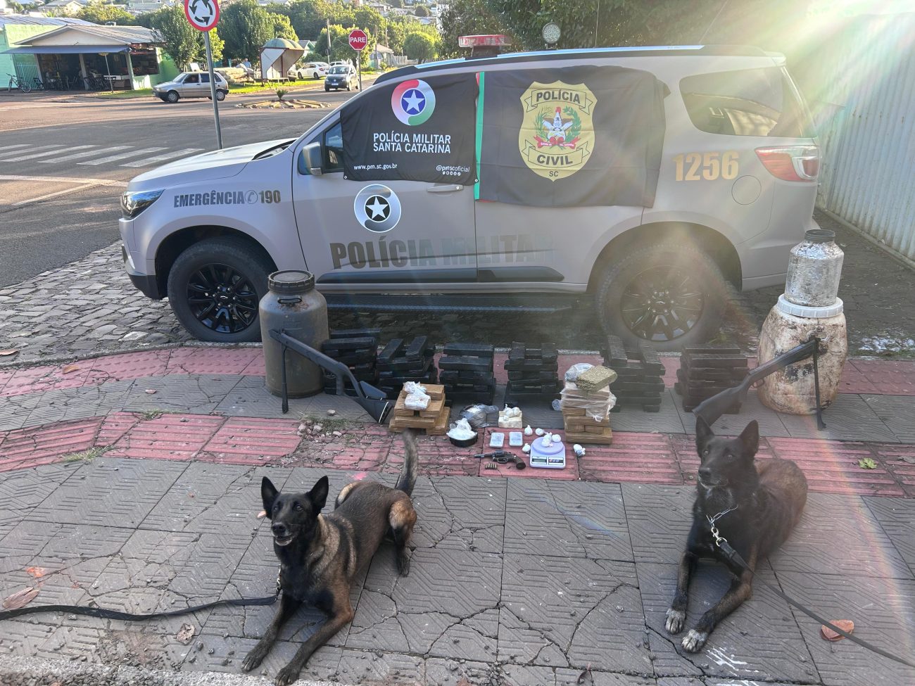 Justiça anula provas contra condenado por tráfico de drogas; na ocasião, foram encontrados mais de 70kg de maconha na casa do acusadoFoto: Divulgação/PMSC