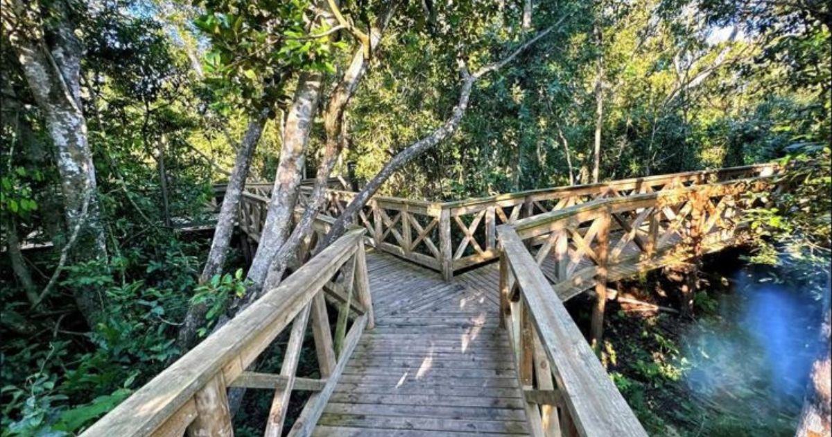 Demora entre a gravação e a denúncia dificulta a identificação do responsávelFoto: Reprodução/Parque Ecológico do Maracajá/ND Mais