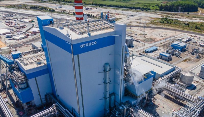 Ferrovia de 47 km ligará maior fábrica de celulose do mundo ao Porto de Santos - Arauco/Reporodução/ND Mais