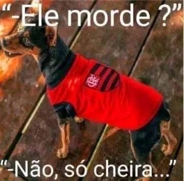 Vitória do Red Bull Bragantino trouxe uma "enxurrada" de memes - flamengo-memes
