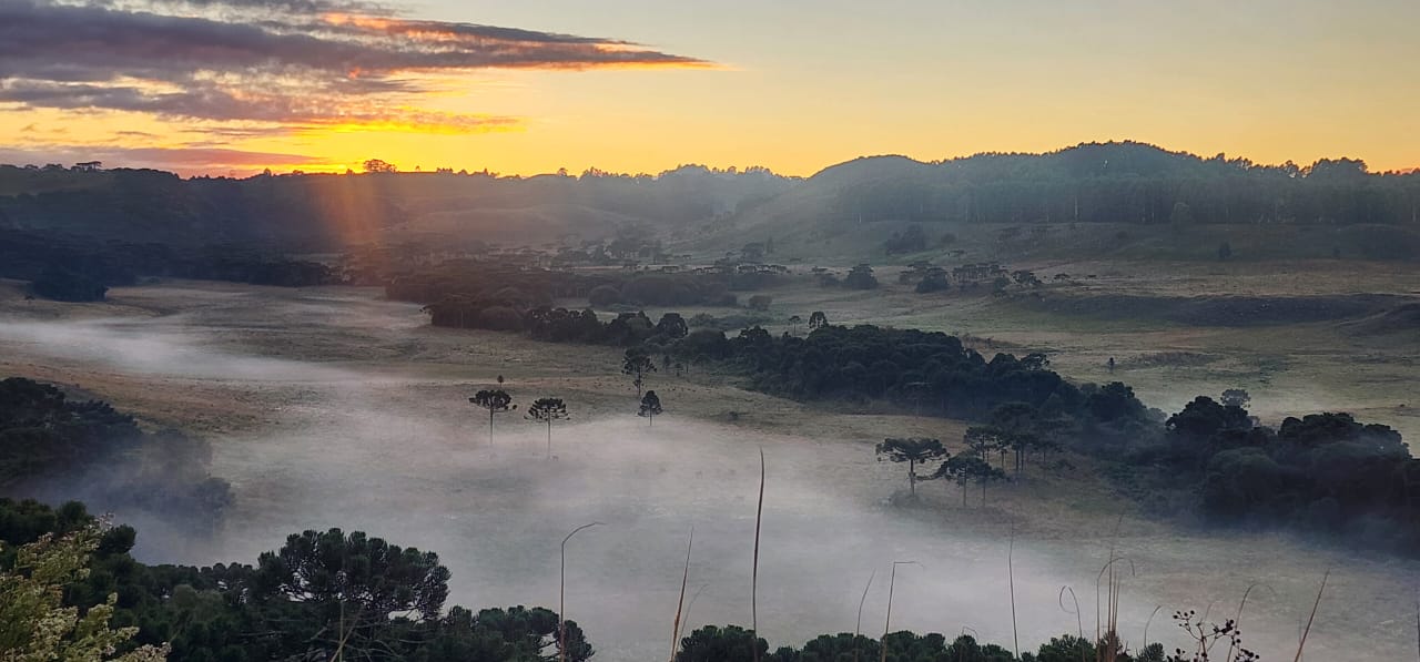 Saiba quando será o dia mais frio do ano em 2026