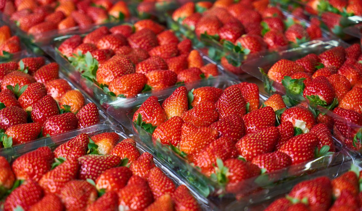 Novas regras do morango: Guia para identificar a “maquiagem” e exigir qualidade na hora da compra.Foto: Reprodução/ND Mais
