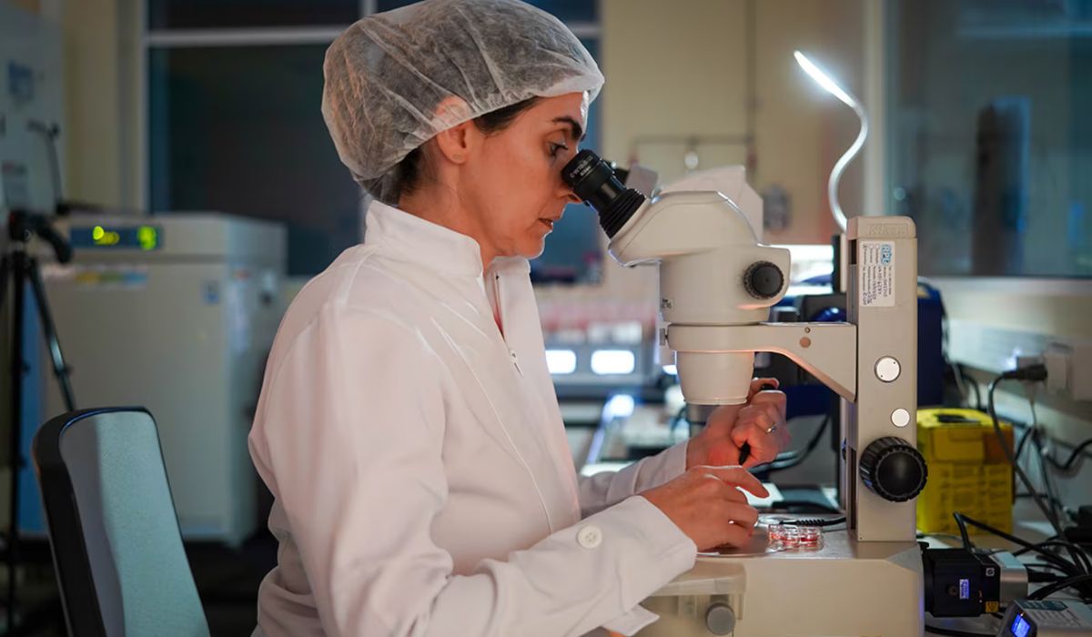 Porco clonado no Brasil pode revolucionar transplantes de órgãosFoto: Daniel Antônio/Agência Fapesp/ND Mais