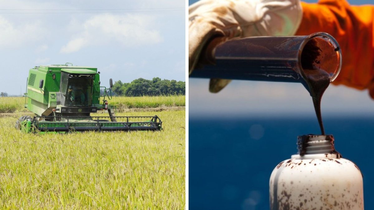 Setor do agronegócio em crise há 1 ano em SC sofre com a alta do petróleo e articula soluções